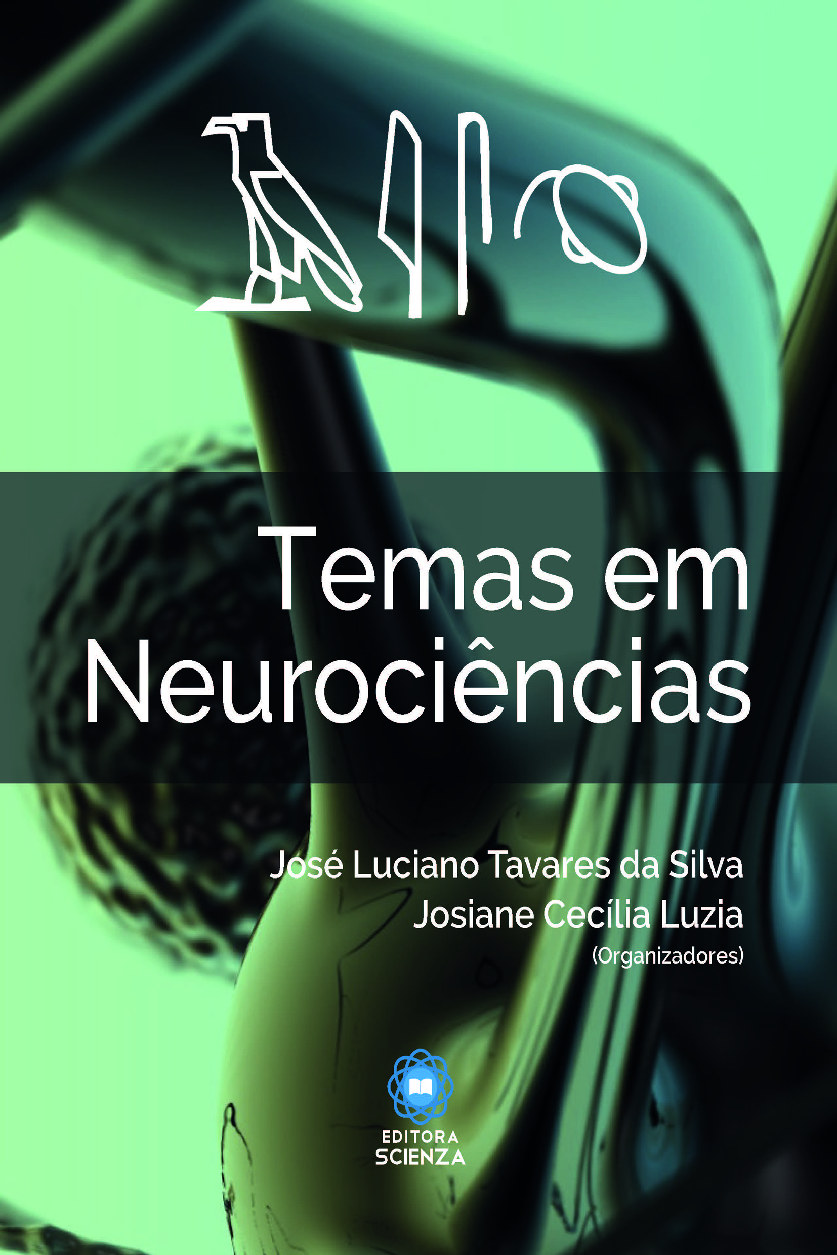 FGA Modelo educativo sistema nervoso humano modelo anatômico anatomia do  nervo cerebroespinal nervoso central, adequado para ensino médico